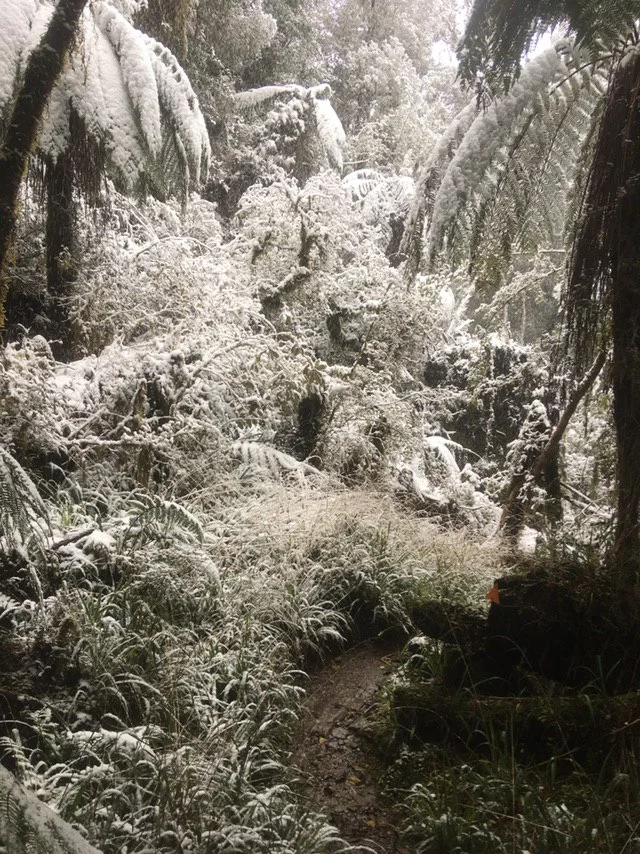 photo_2019-08-06 10.28.30.jpeg