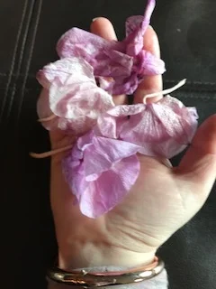 I Killed My Orchid