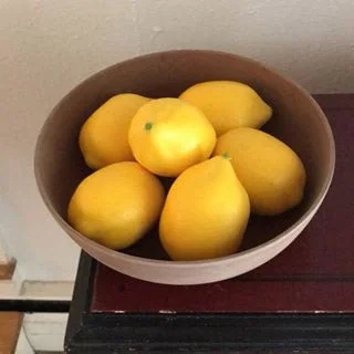 All My Friends Are Lemons