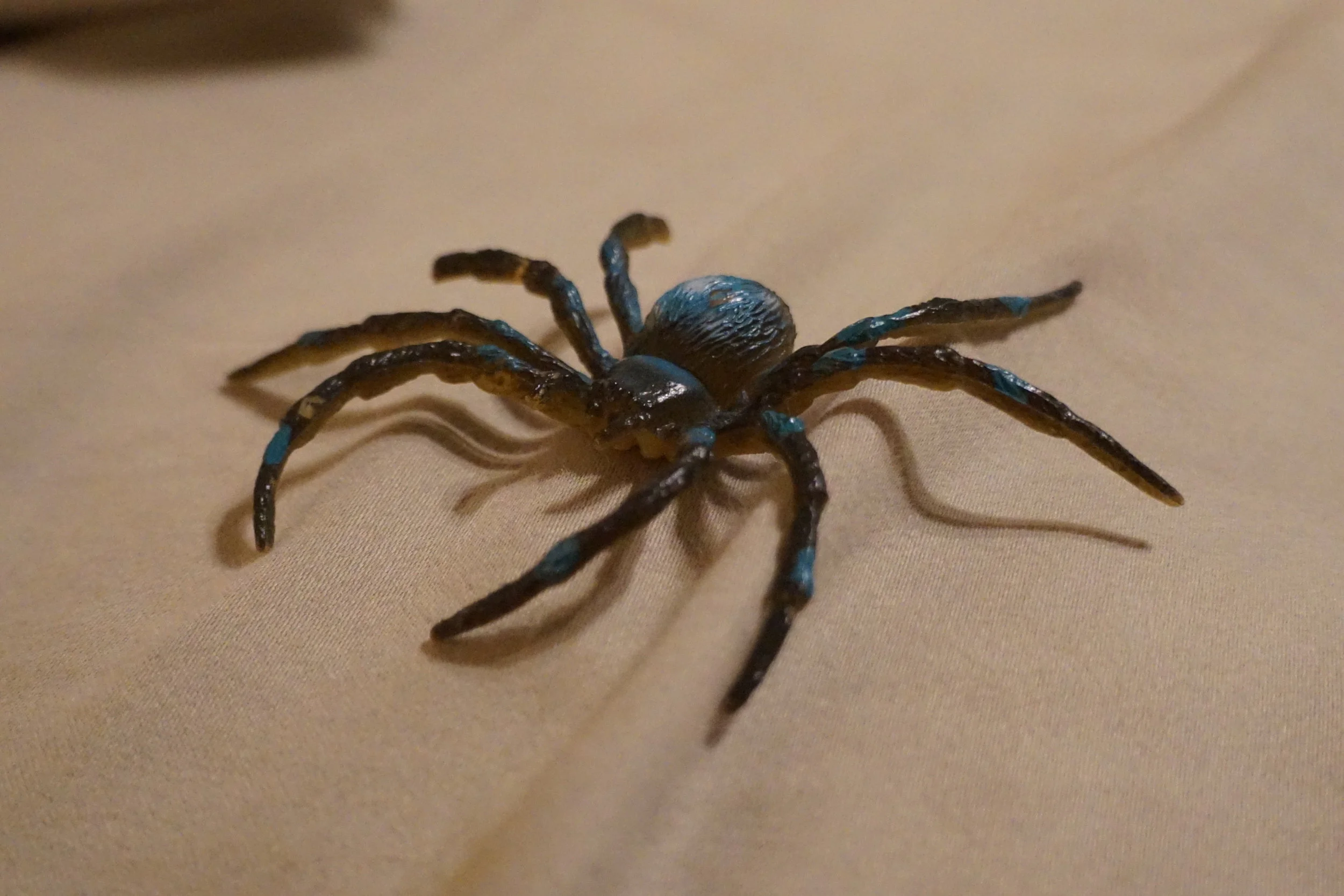 Walking With Spiders