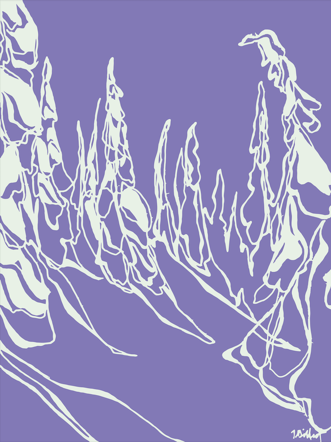 Screen Shot 2019-01-05 at 10.51.01 AM.png
