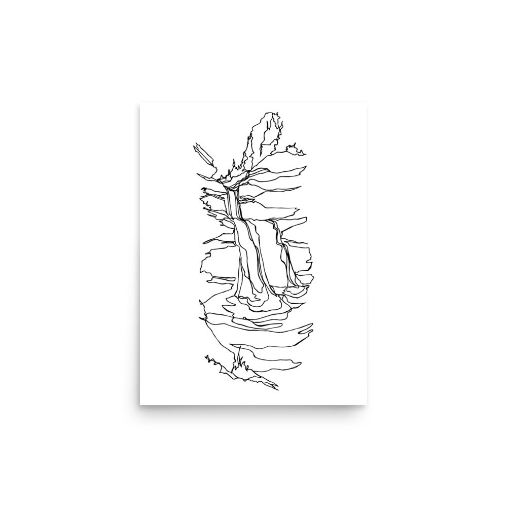 enhanced-matte-paper-poster-(in)-12x16-front-688159c2104ab.jpg