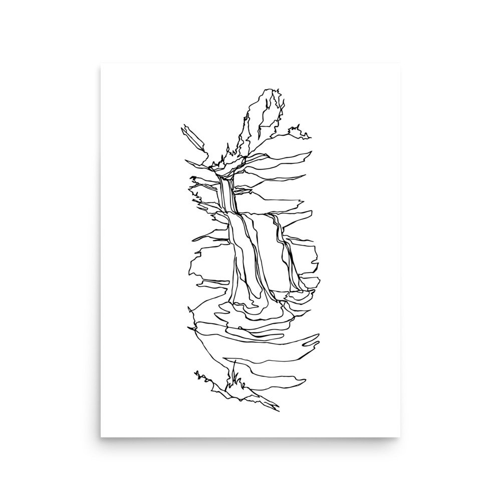 enhanced-matte-paper-poster-(in)-16x20-front-688159c210619.jpg