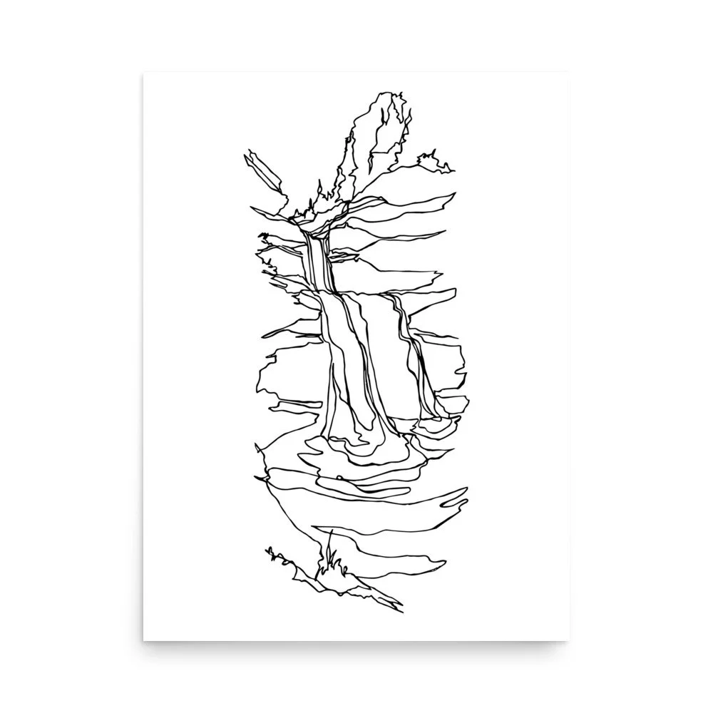 enhanced-matte-paper-poster-(in)-18x24-front-688159c2106bb.jpg