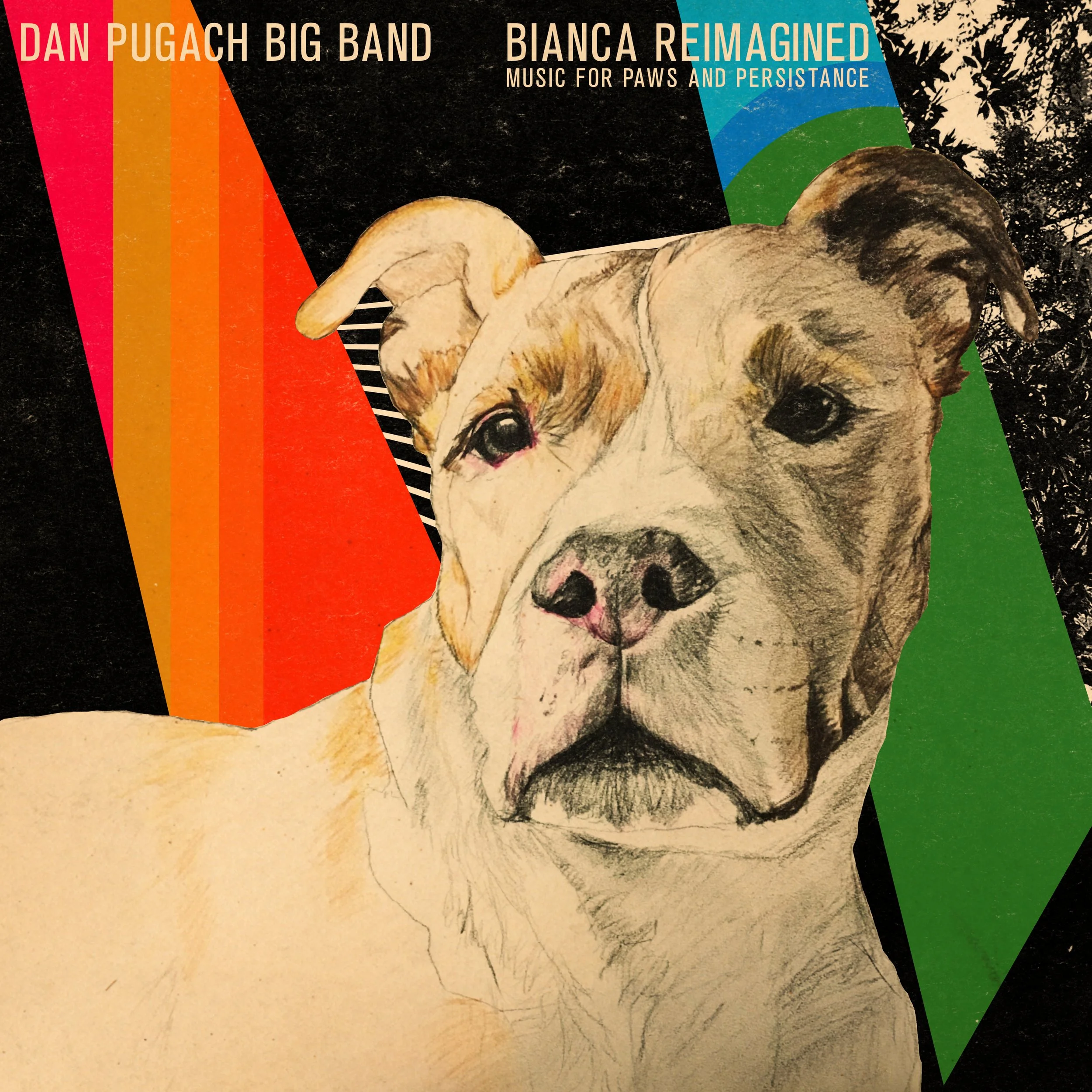 Dan Pugach | Bianca Reimagined | Album 