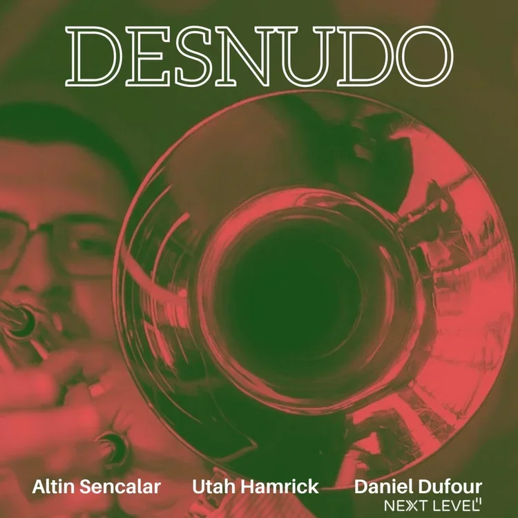 Desnudo+Single+Artwork+(Single).webp