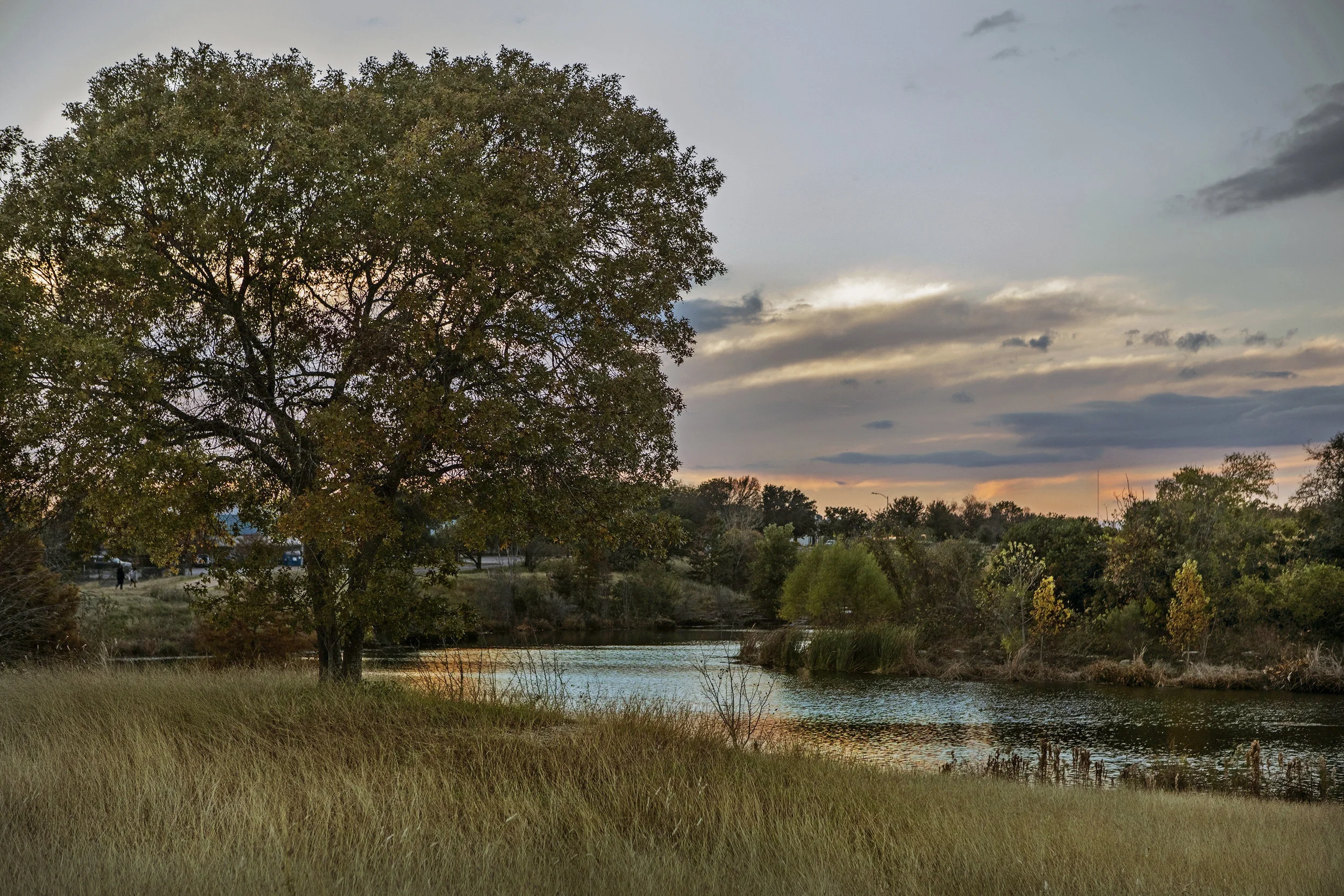 SS_Austin455A6687.jpg