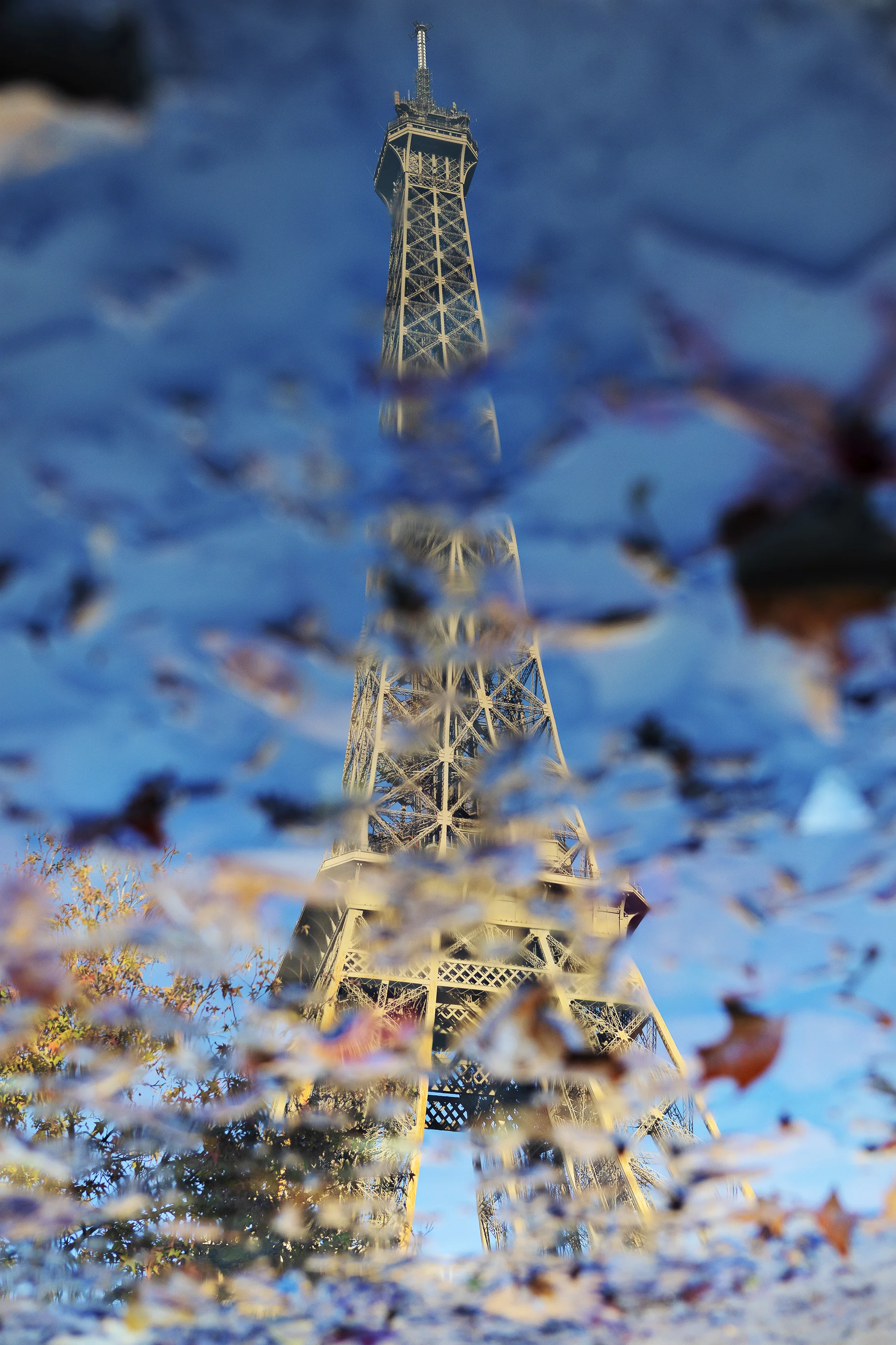 ss455A1334.jpg