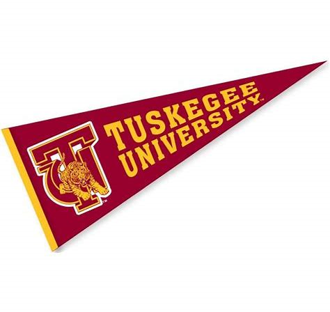 TU Logo.png