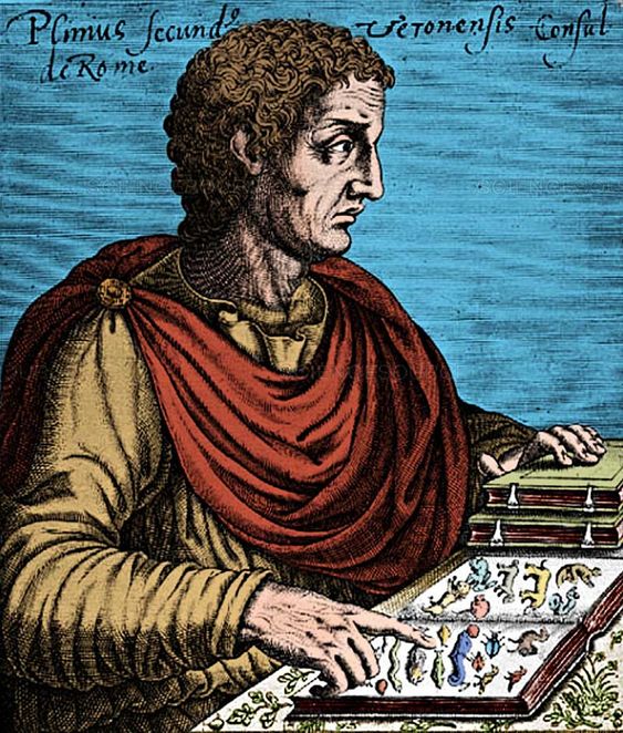 Pliny the Elder