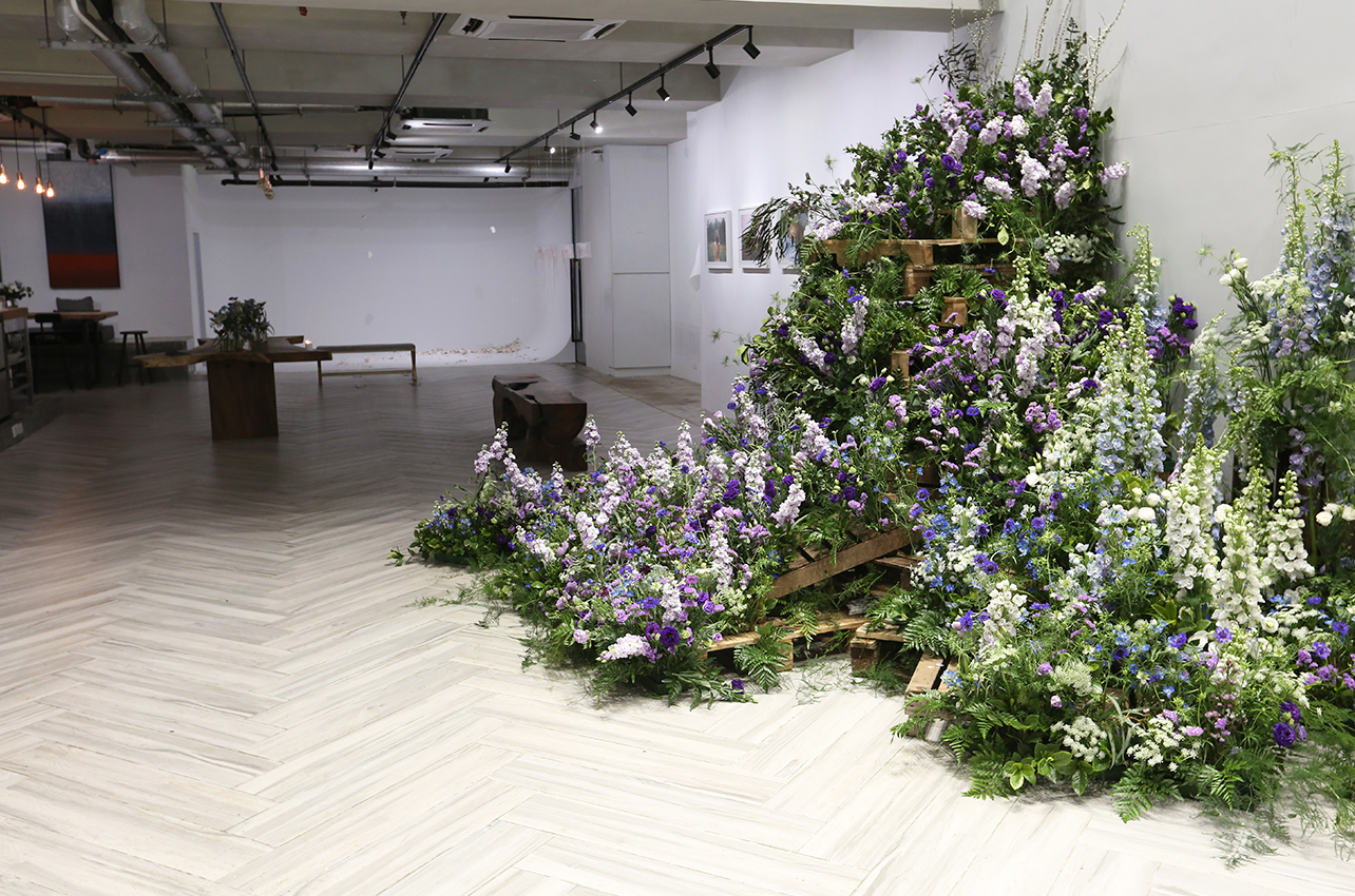 Overgrown-6.jpg