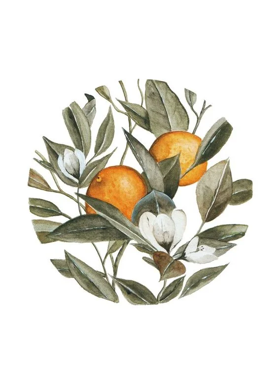 Orange Blossom Print by Shealeen Louise