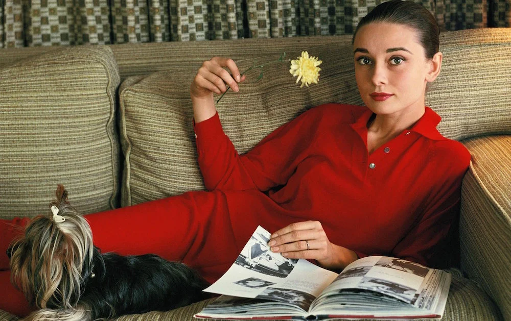 Audrey by Bob Willoughy