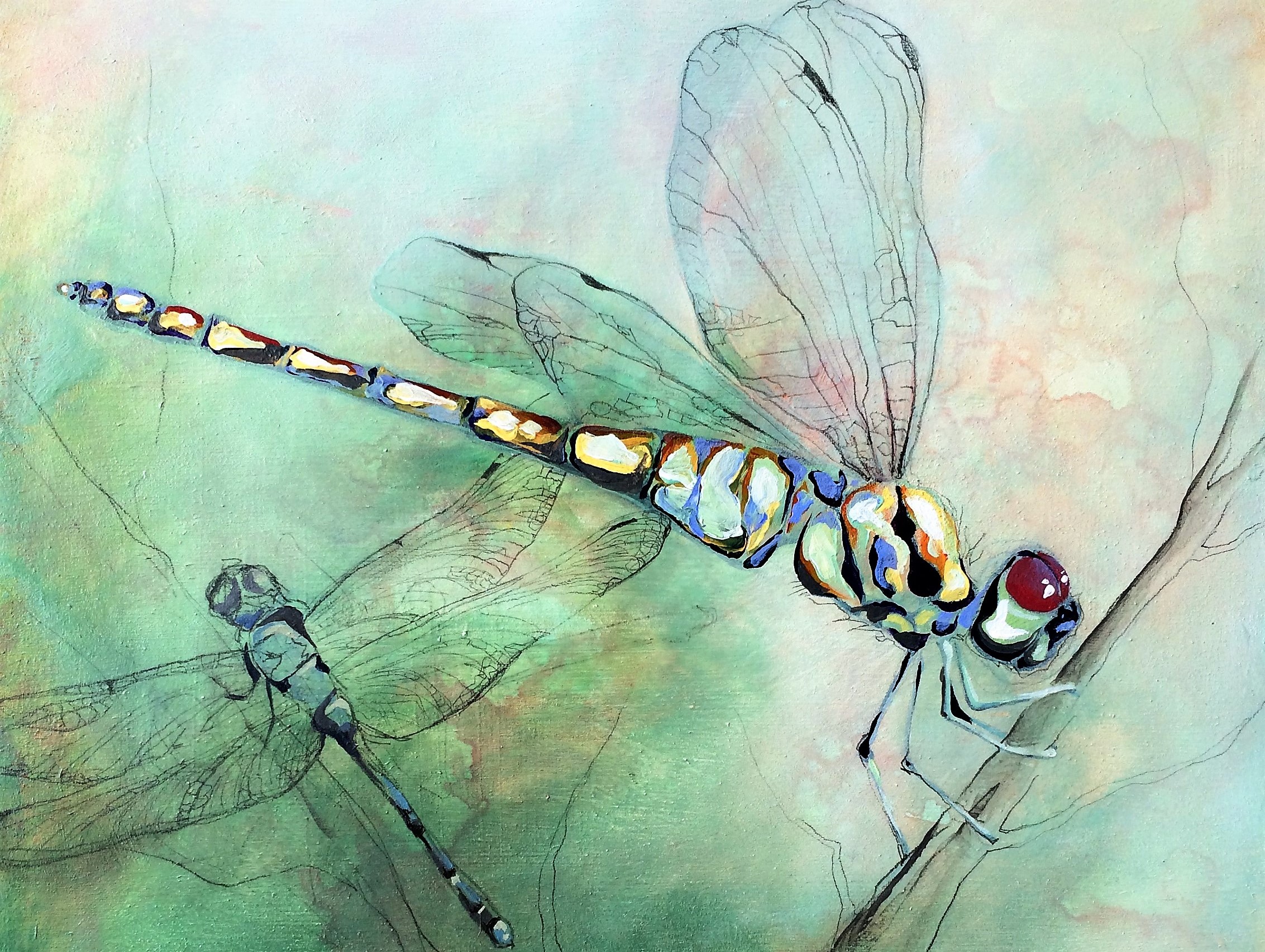 Two Dragonflies