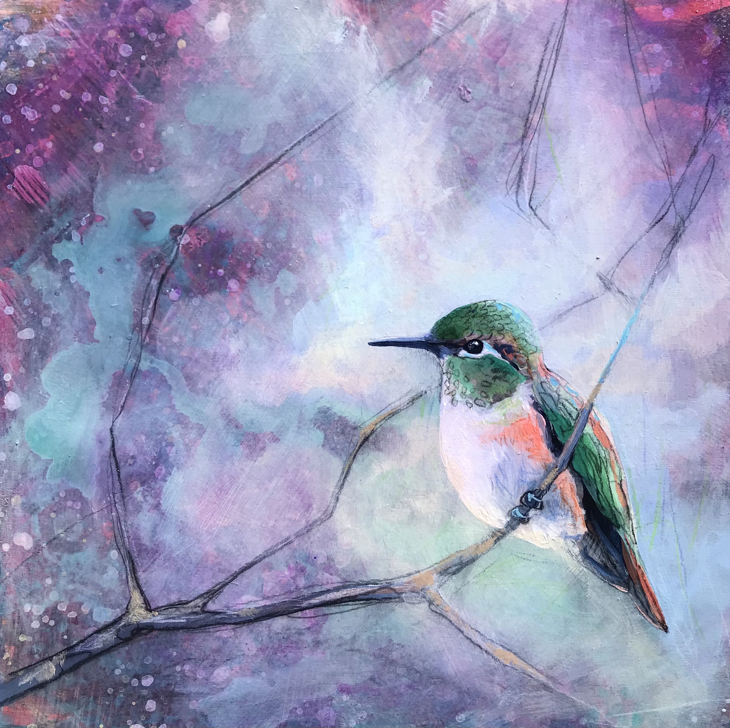 Hummingbird Study #1