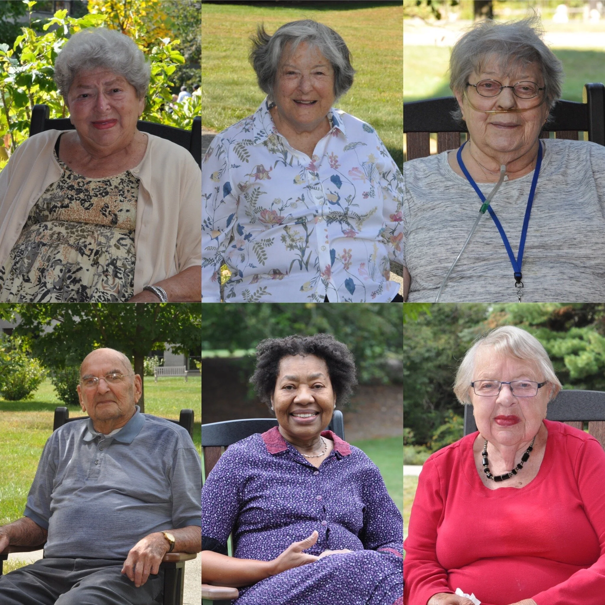 Elderwise.JPG