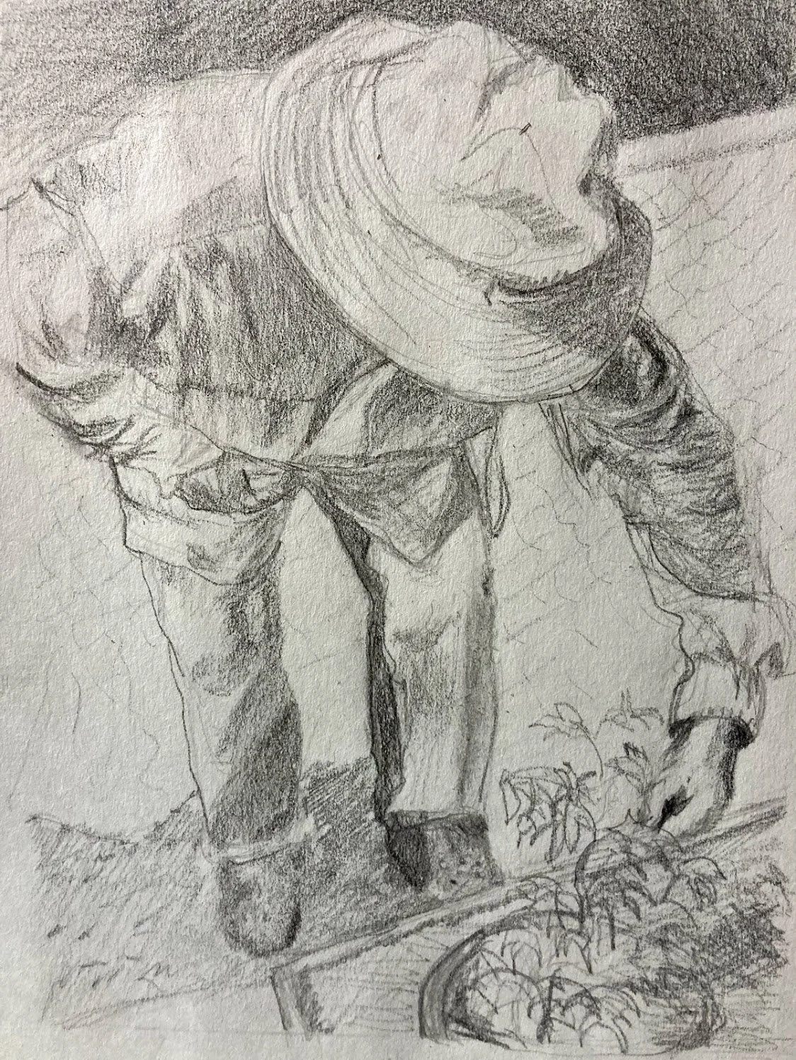 Susan (Duggan) Cooley | "Tomato Blossoms"