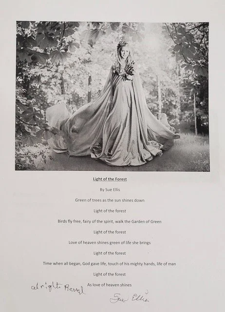 Sue Ellis | “Light of the Forest”