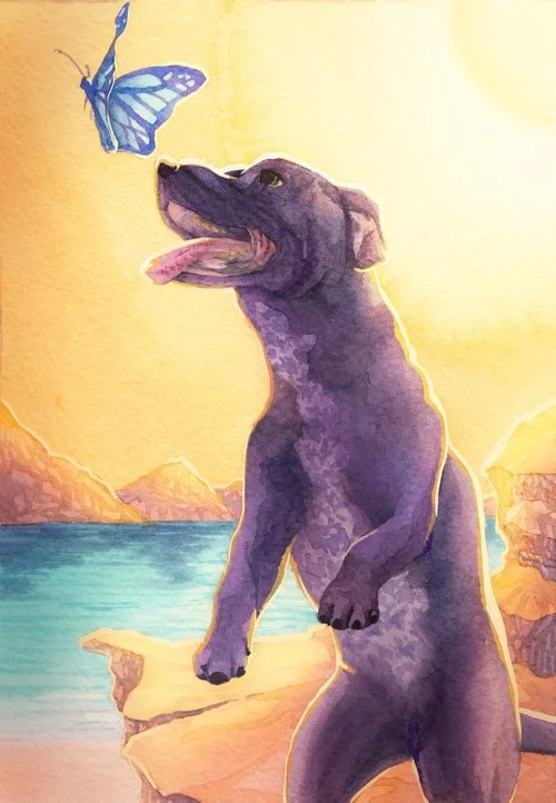 Calion Winter | "The Fool's Joy"