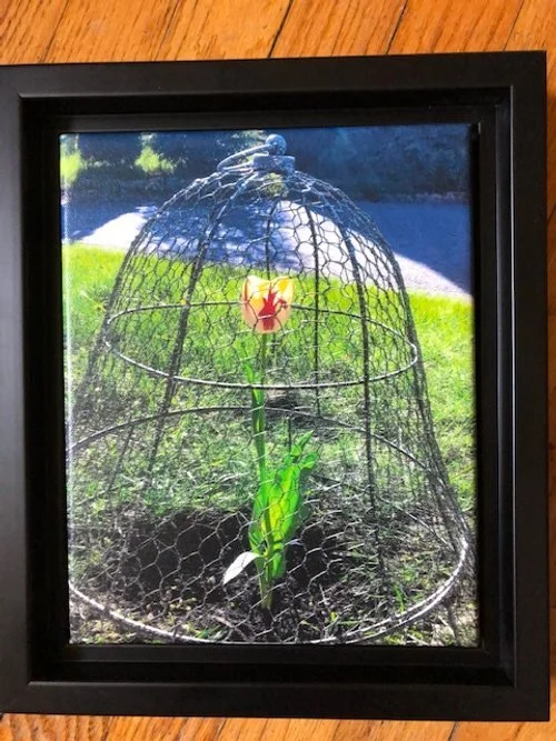 Steve Trimm | "Self Portrait"