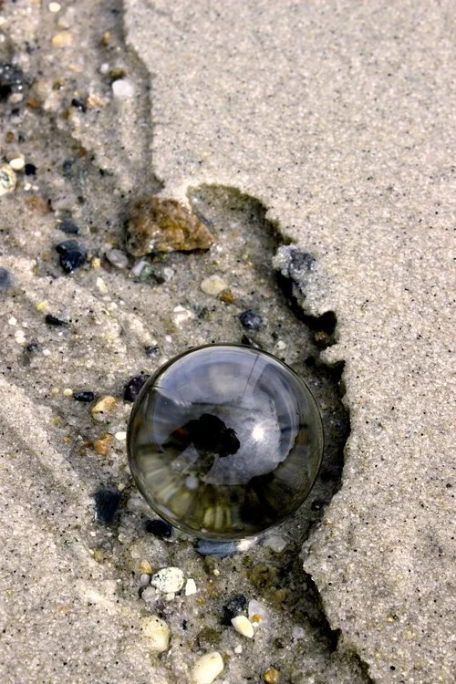 Jean Francois | "Reflection"