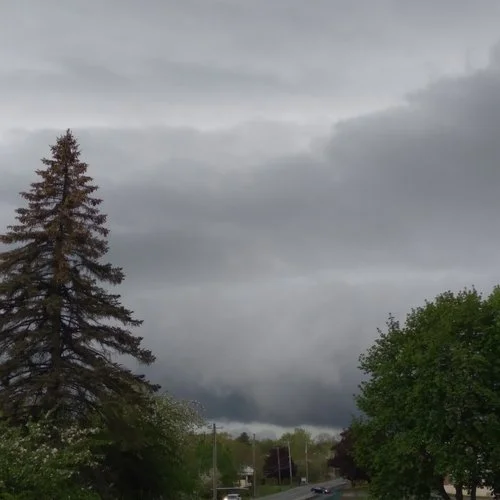 Linda Thorburn | "The Storm Within"