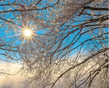  The Healing Through Wonder Project: How Awe and Wonder Help Us Live with Uncertainty