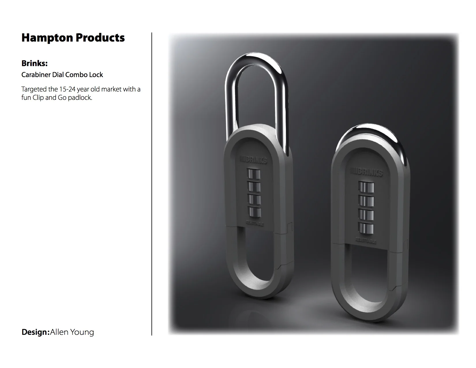 Allen Young eportfolio FV 2.jpg