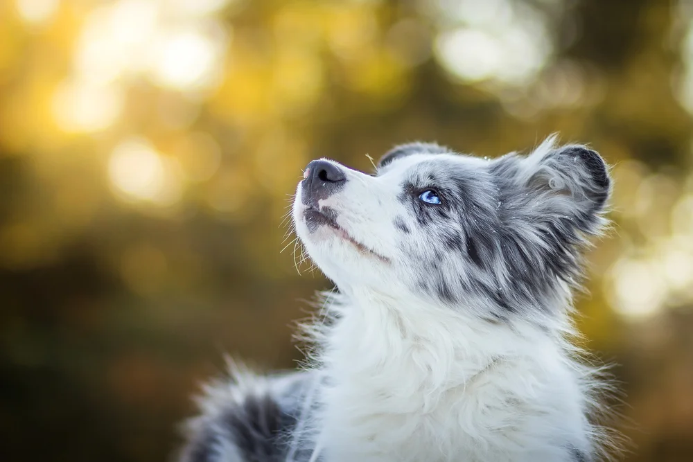 shutterstock_553932526.jpg