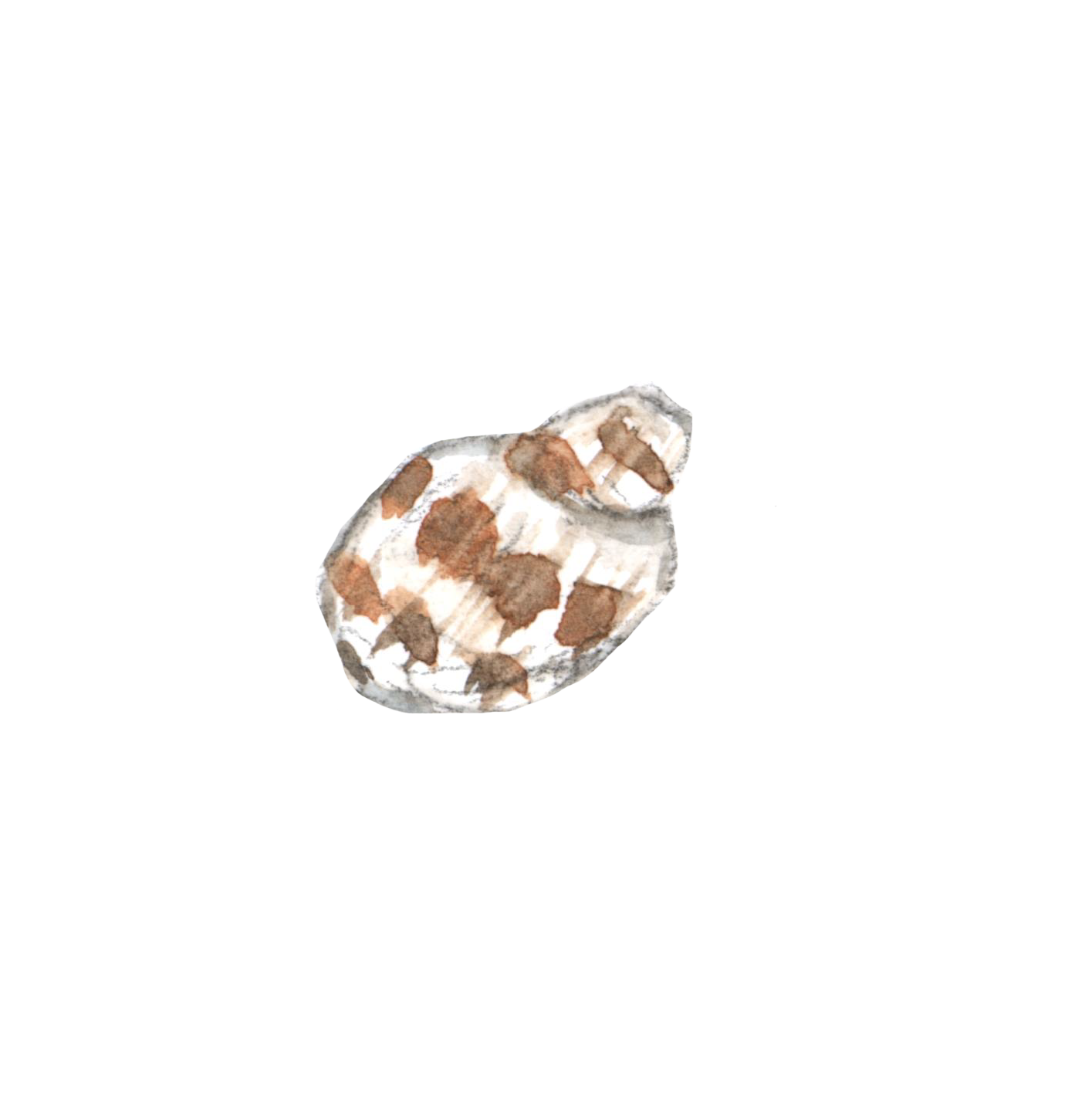 beach15.png