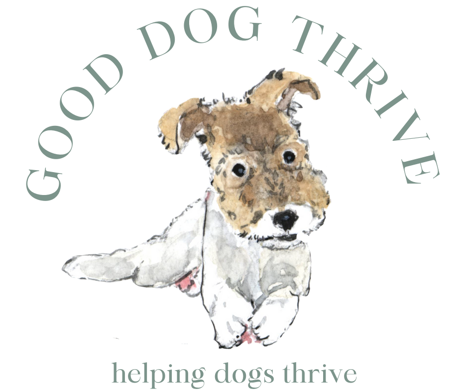 Skin Problems In Dogs II Good Dog Thrive skin-problems-in-dogs-ii-good-dog-thrive