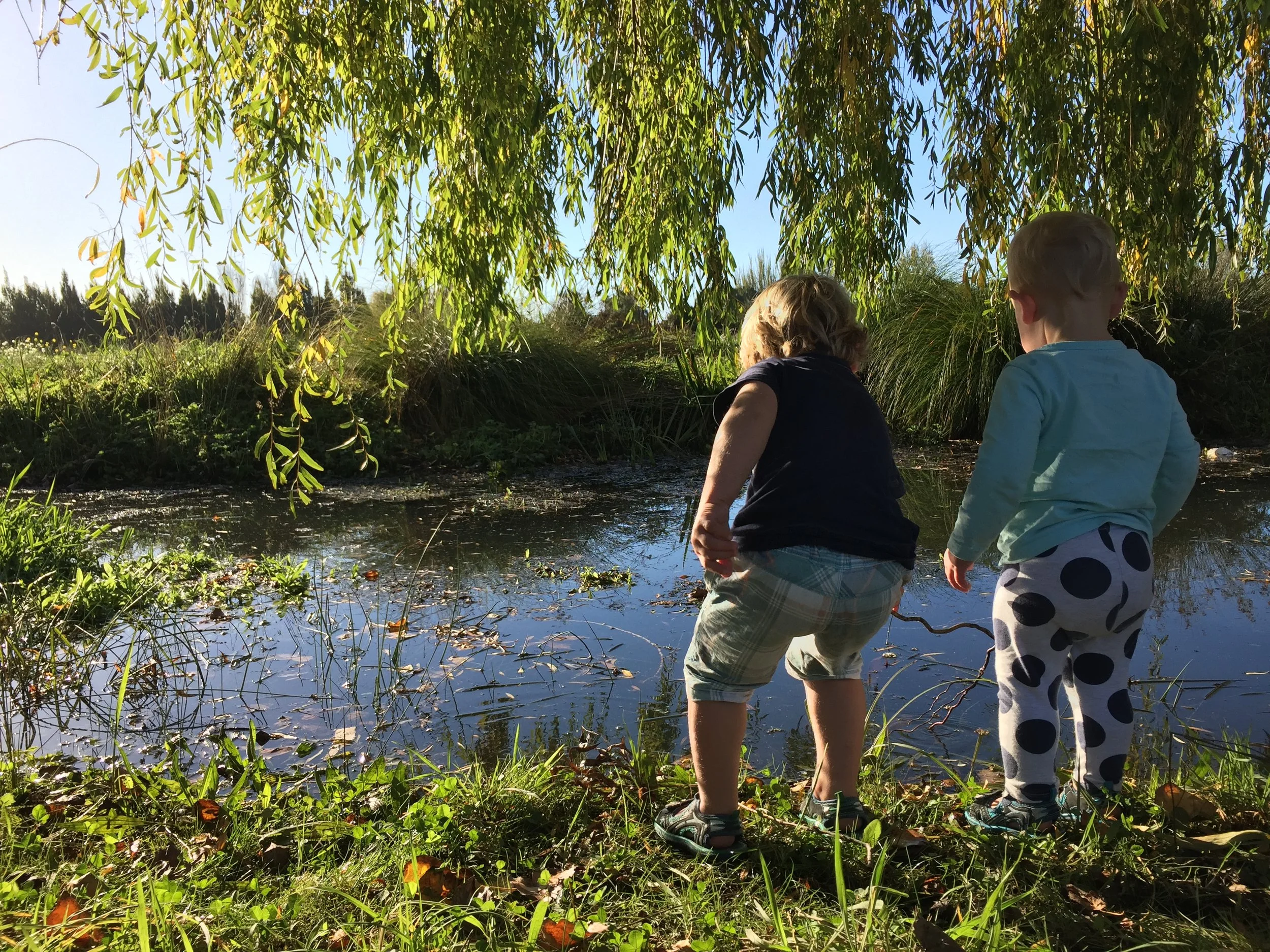 Children in the Christchurch Nature Play group 'fishing' in the Avon/Otakaro Photo Credit: Celia Hogan