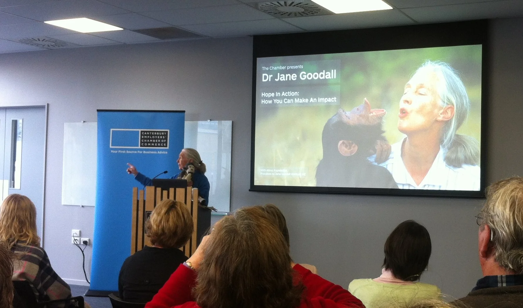 Jane Goodall speaking at the Chamber of Commerce in Christchurch 