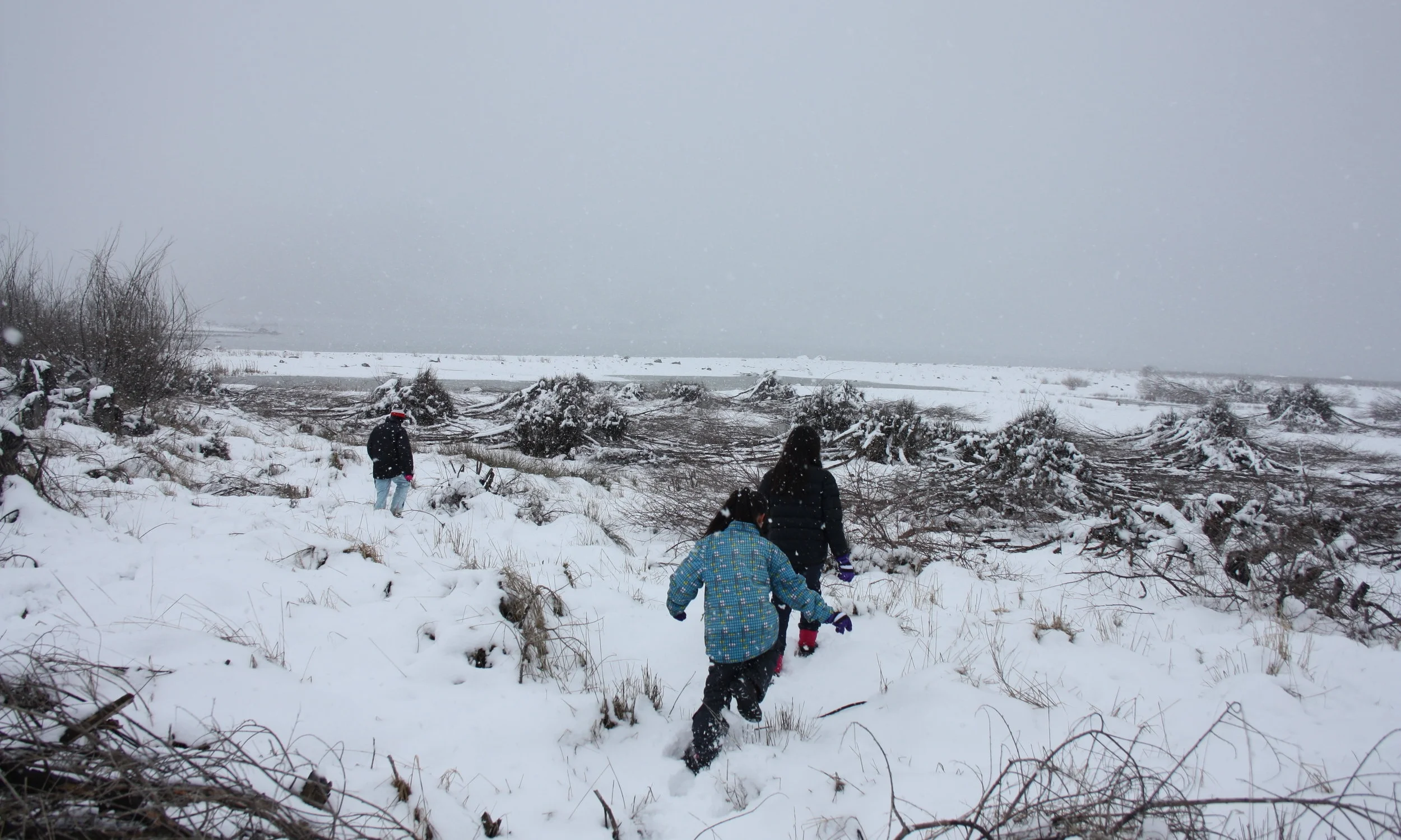 Exploring the lakefront in the snow