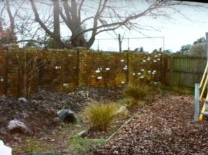 Before, this space was rarely used - it always seemed cold, shady and damp.