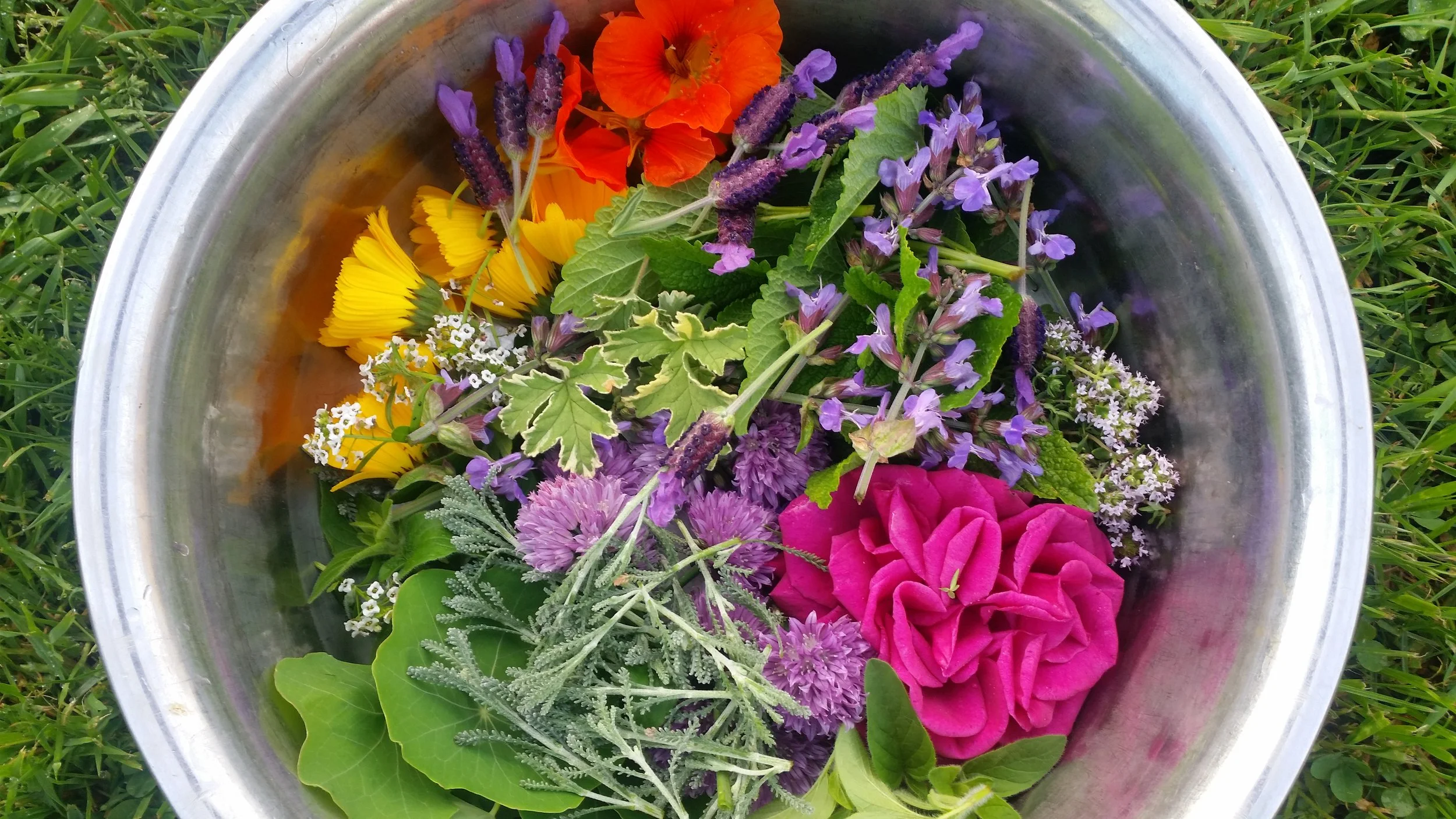 20181026_072624.jpg