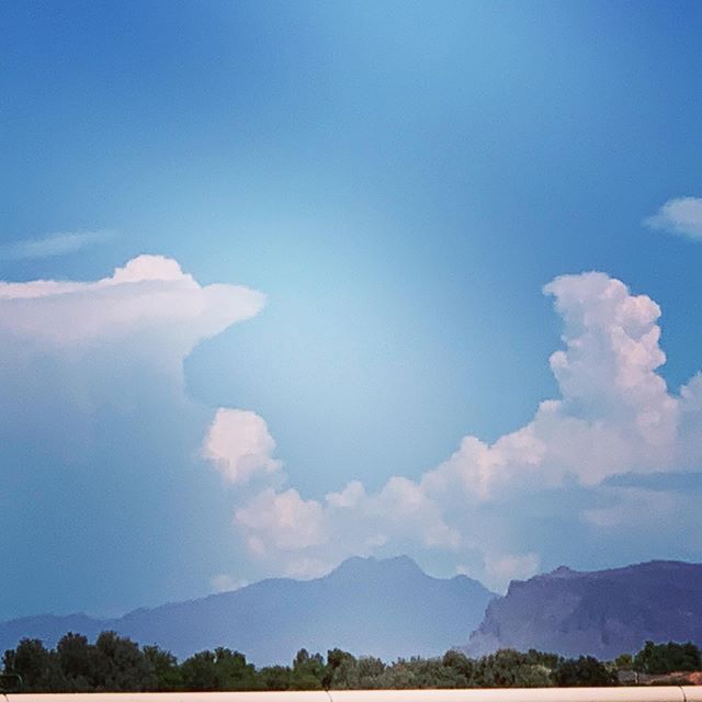 Outside my window #arizona #nature