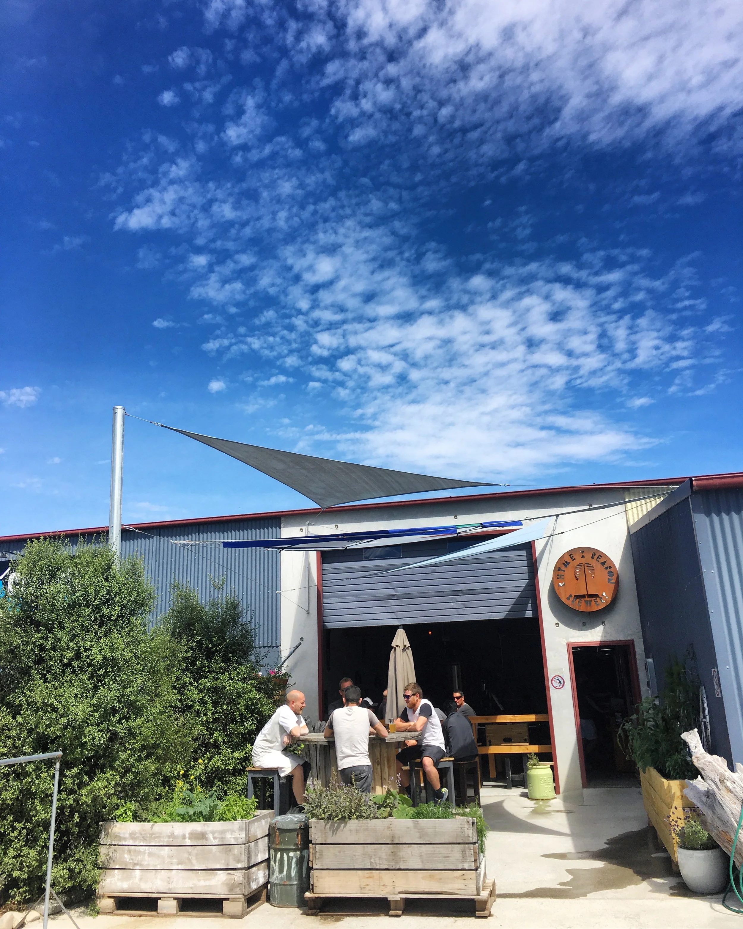 Kiwi Hops: a Conversation with Brewer, Jess Wolfgang