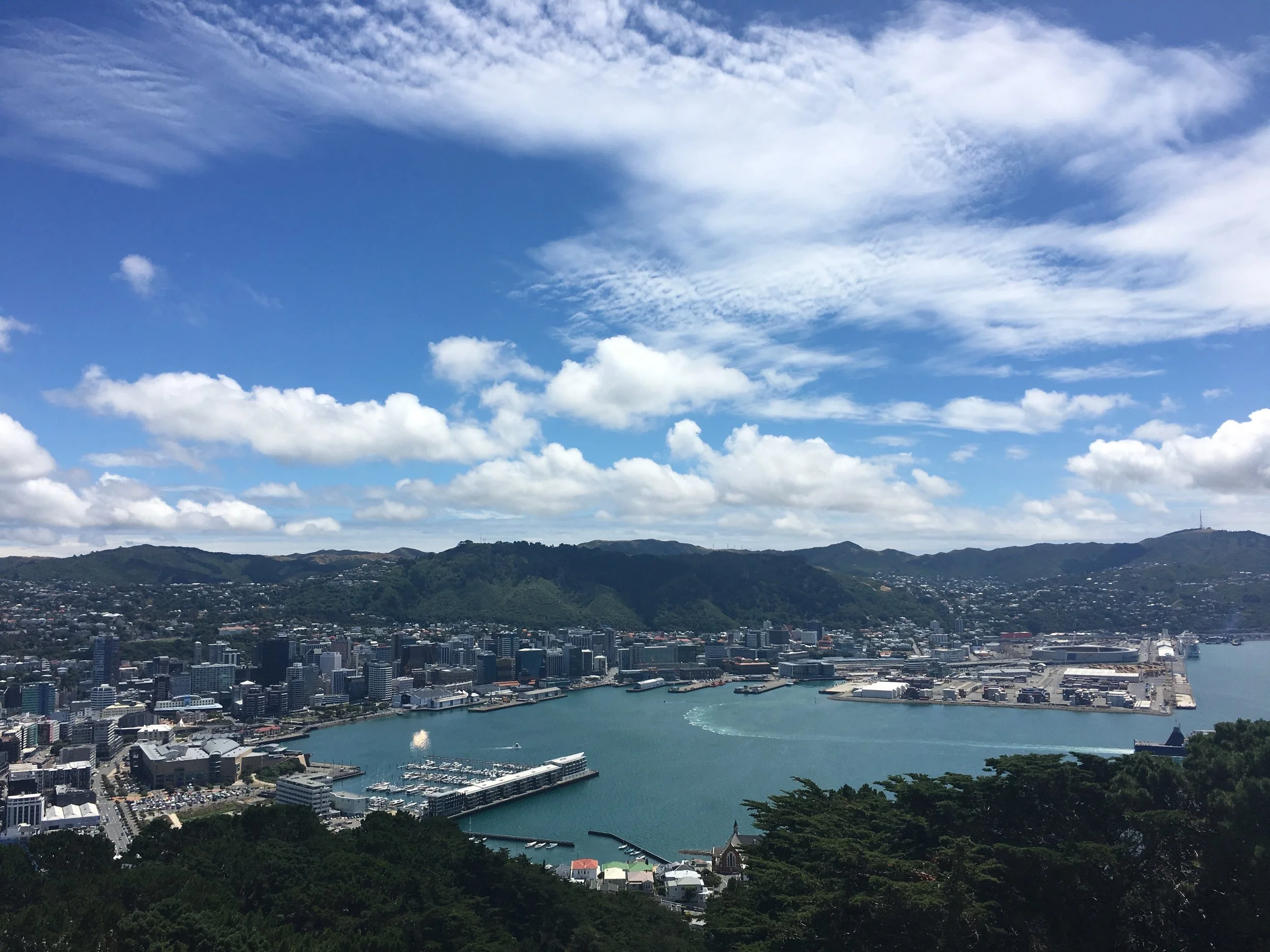 Creative Pulse: Wellington