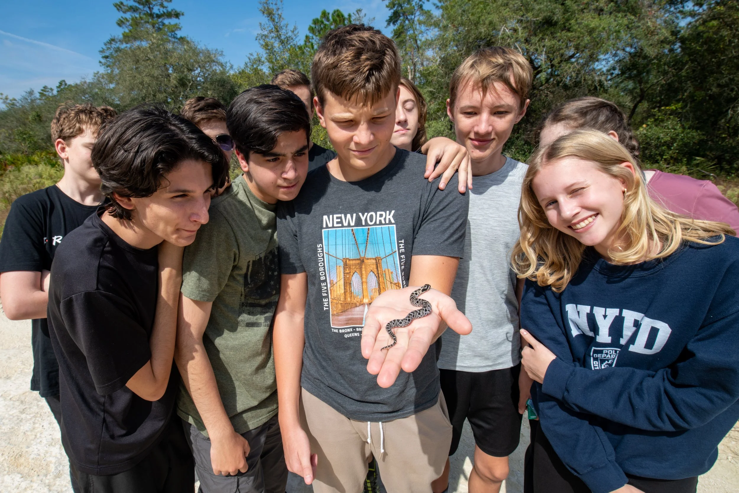 Eastern_hognose_group.jpeg