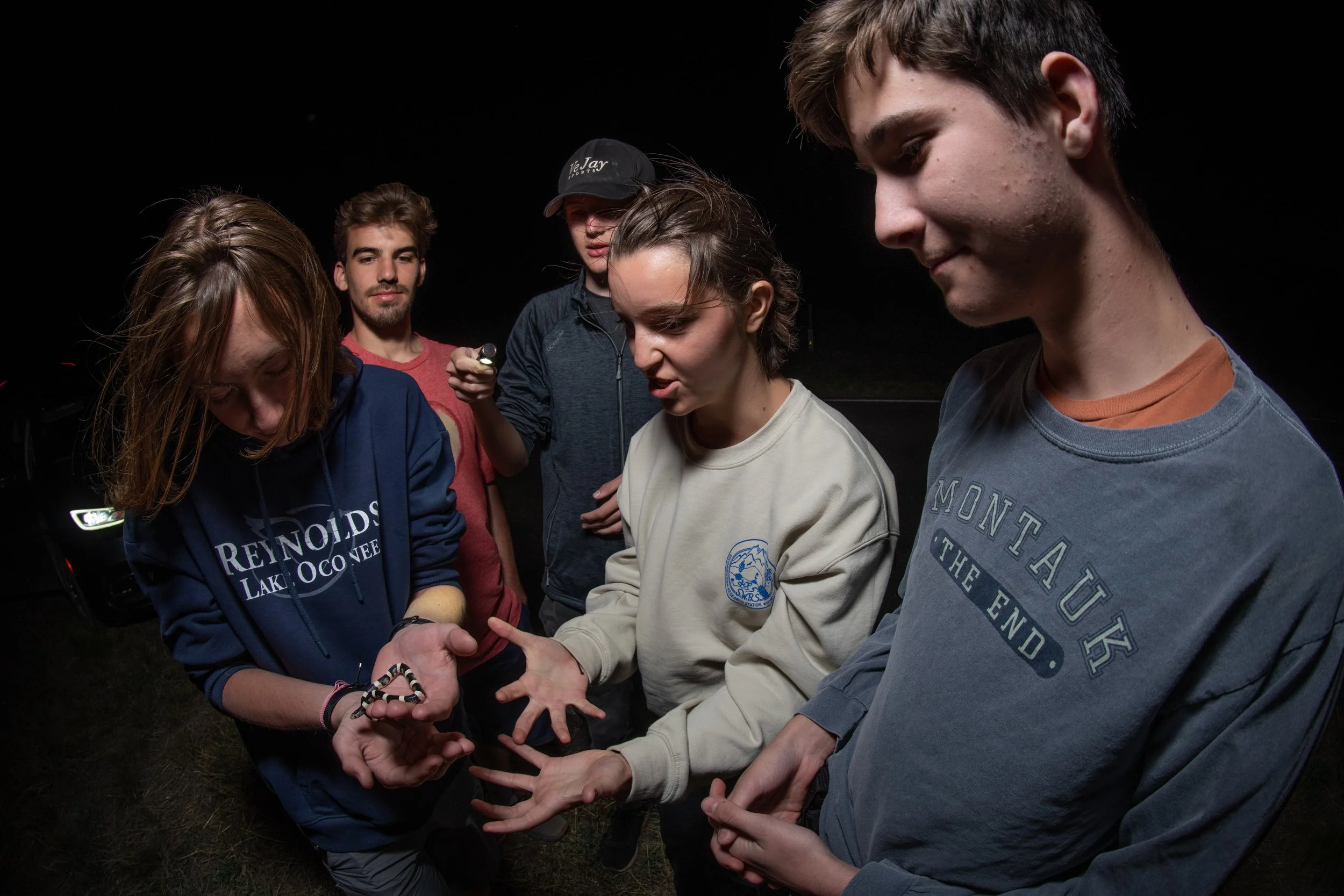 Longnose Snake Group.jpeg