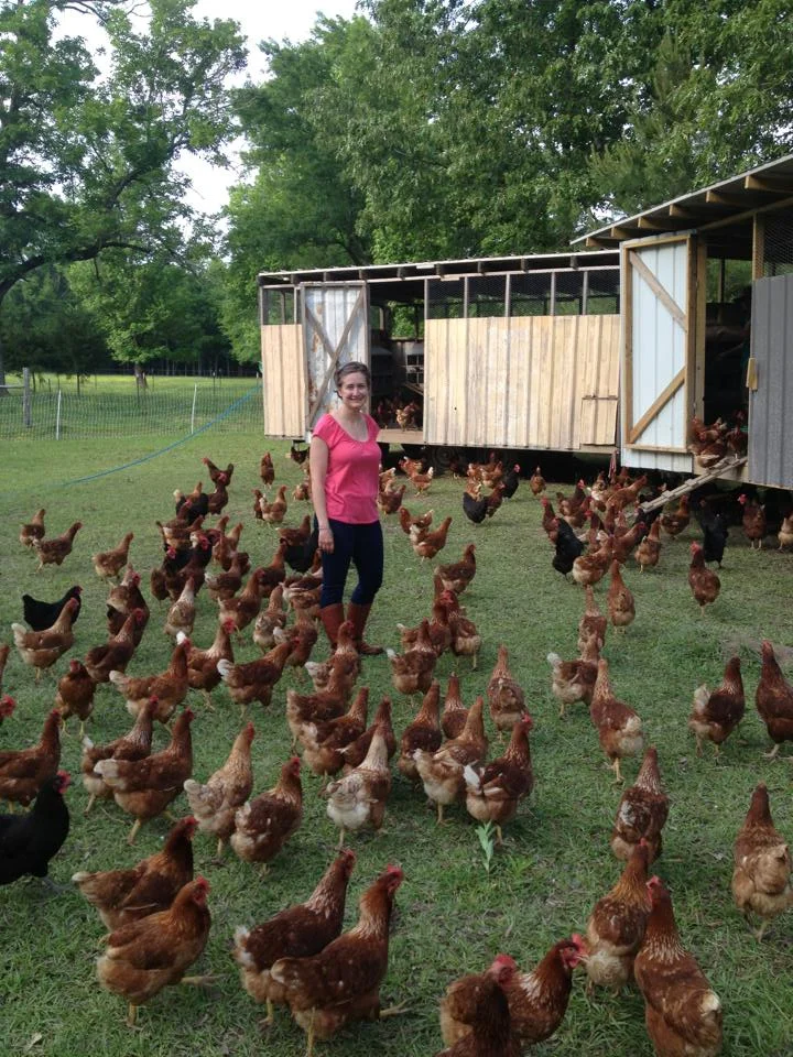 chickens.jpg