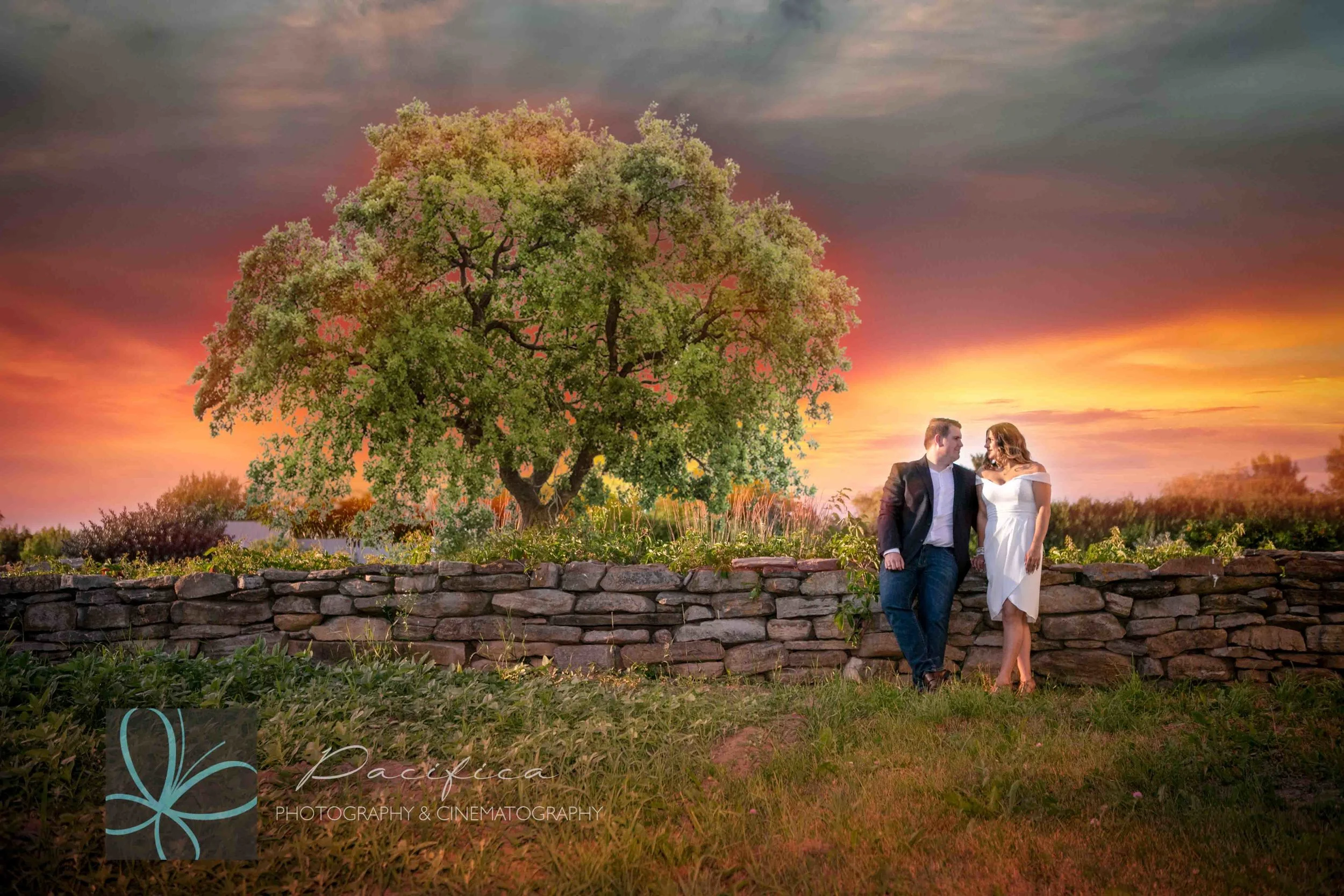 DDAN0536-Edit.JPG
