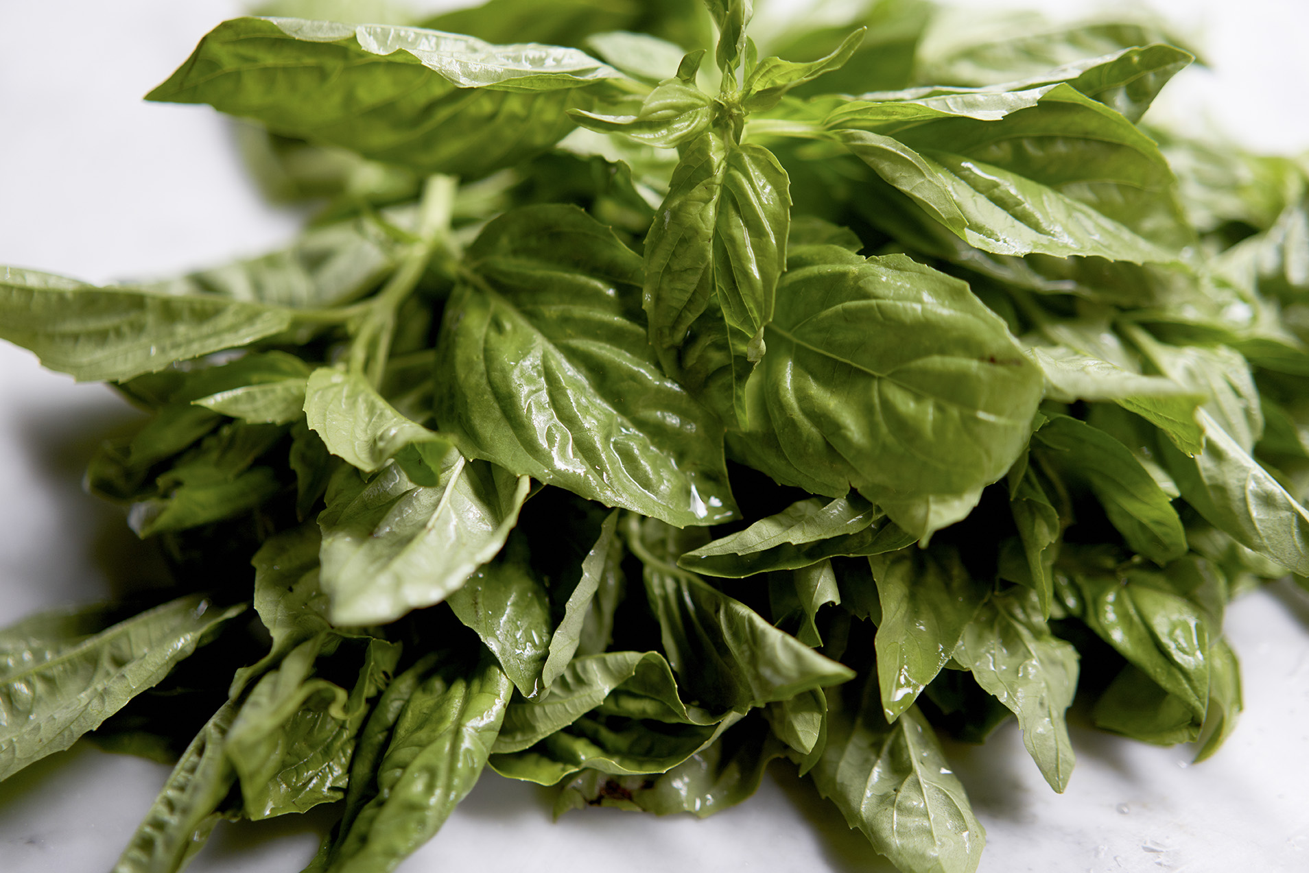 Basil_SimoPizza_FSP7775 HighRes Q100.jpg