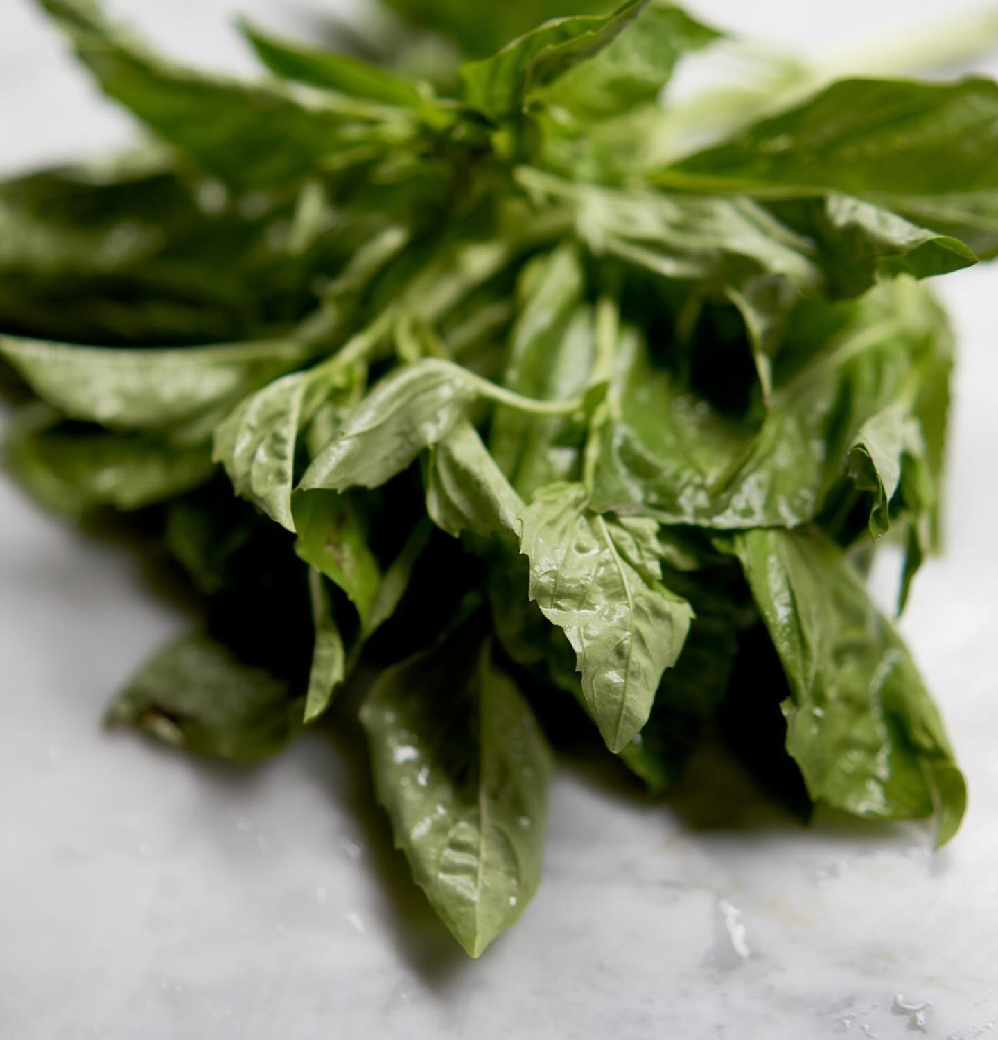 The secret of our Pesto &amp; Percorino pizza? As always: the quality of the ingredients: we carefully choose the best basil we can find to make our pesto.

Hit: for pesto, always prefer the small-leaves, not too minty one for exceptional flavor!

#b