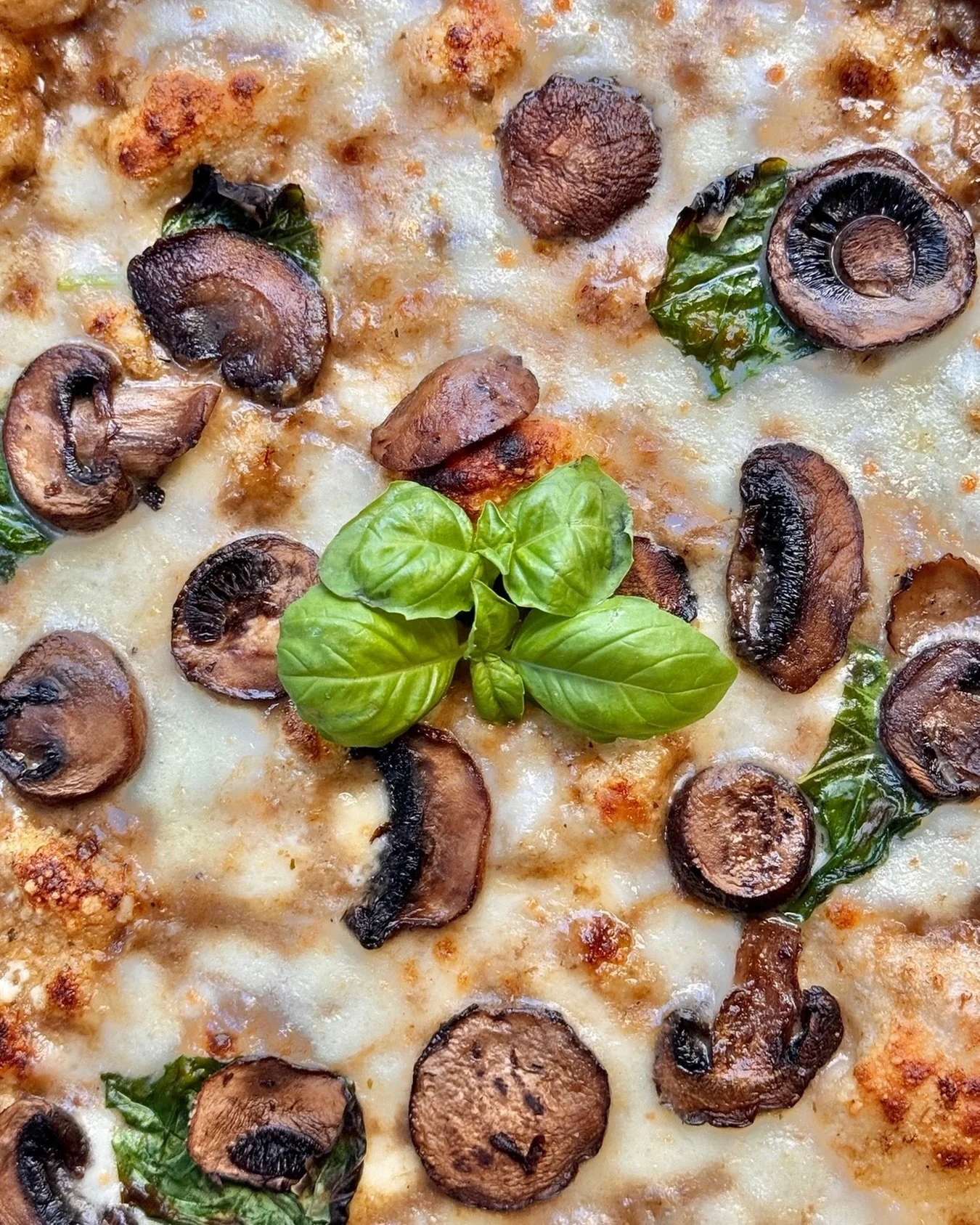 Got any (mush)room for more pizza?

Then the 🍕Tartufo e Porcini is for you! 

👉 Mozzarella and roasted mushrooms top a delicious white truffle and porcini mushroom cream, to make a buttery, earthy flavor 👈

#simopizza #90secondstonapoli #pizzanapo