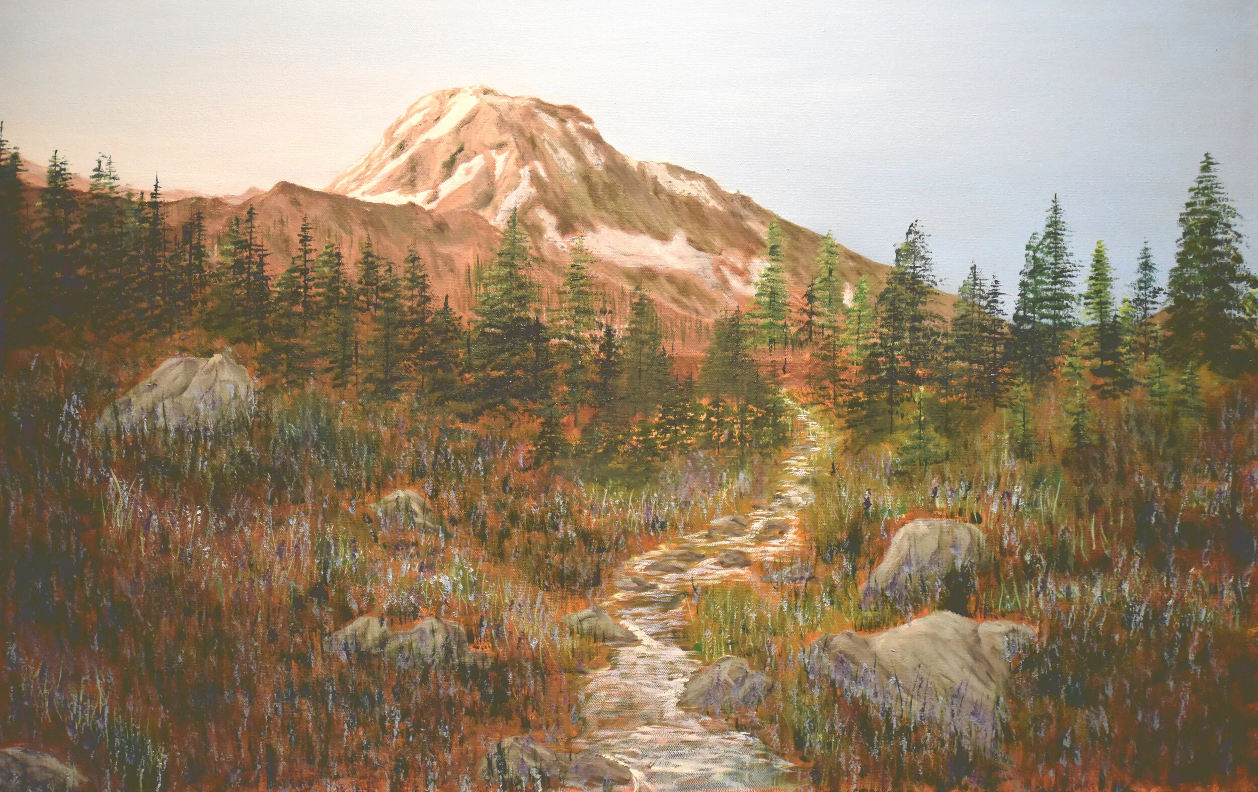 on the timberline trail.JPG