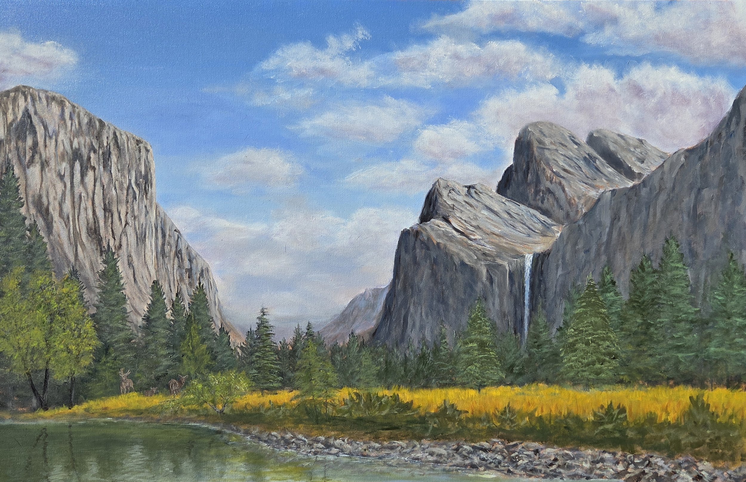 Summer in Yosemite