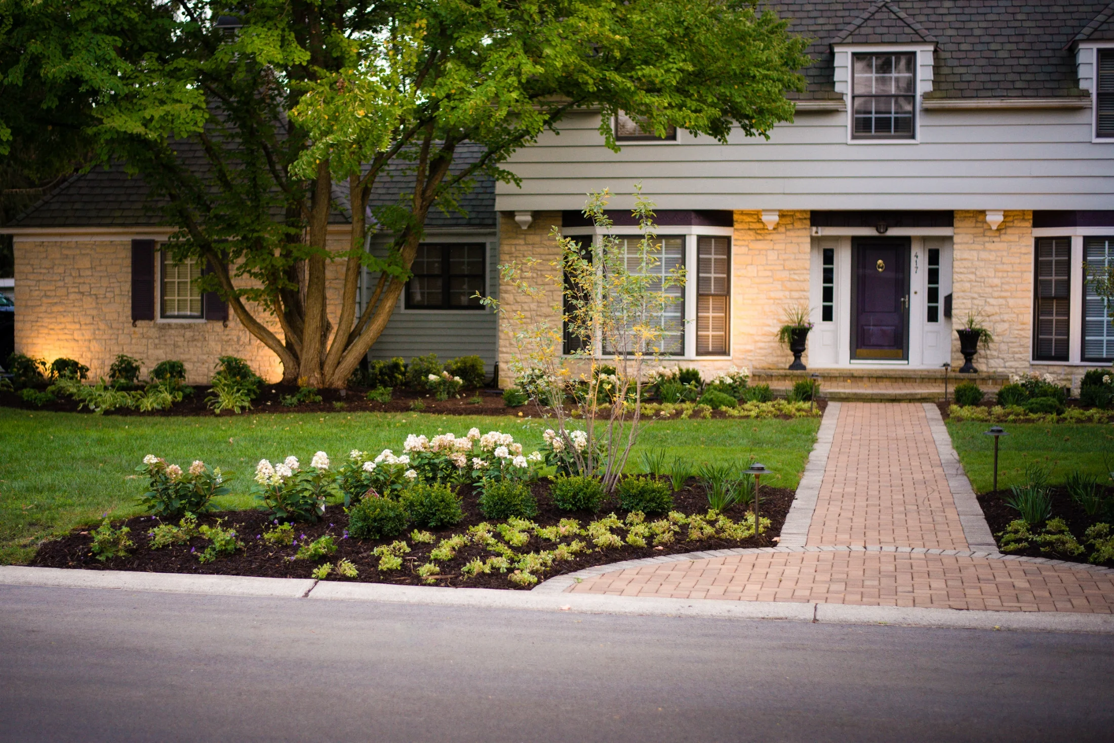Front Landscape
