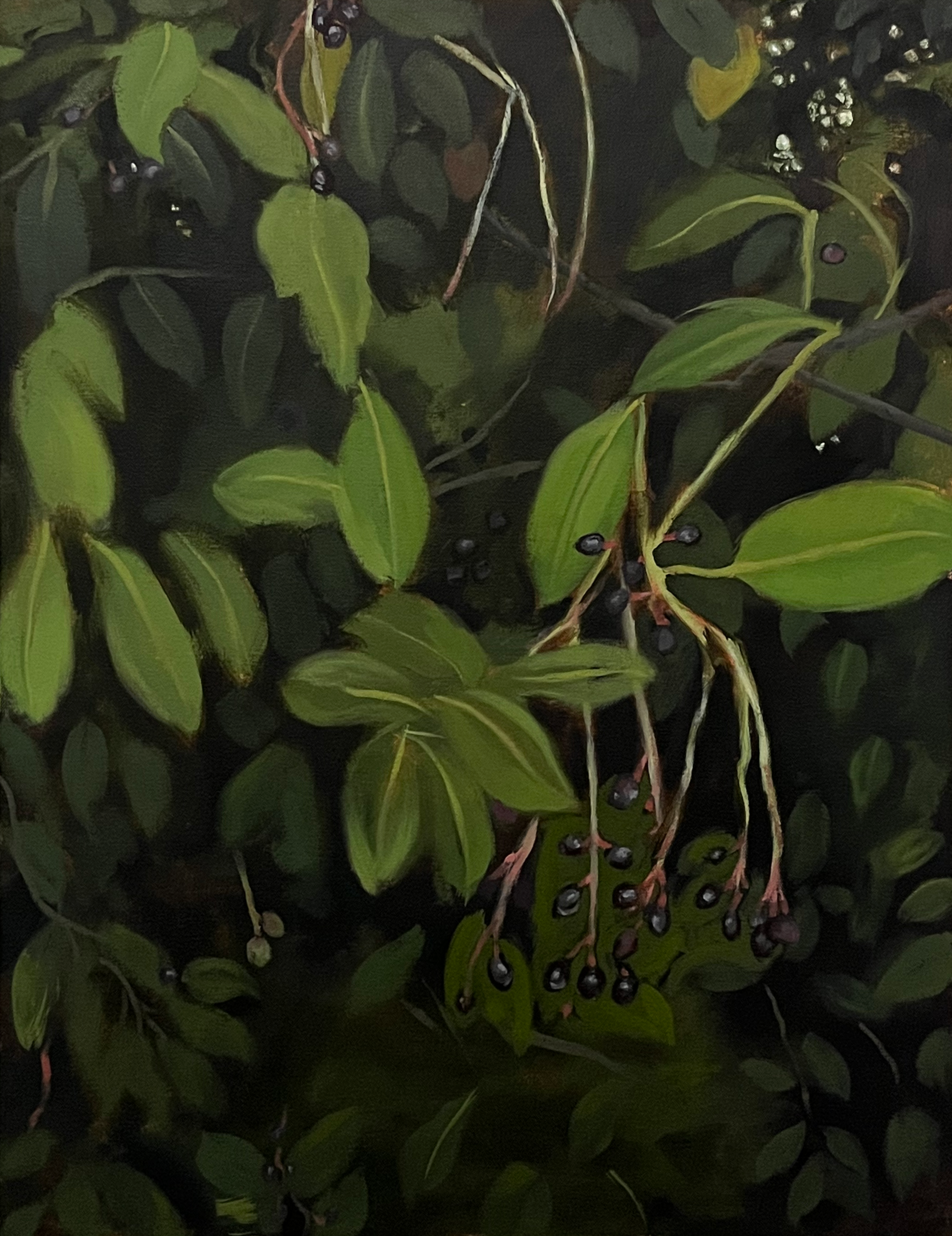 Cascade = True, 2026, oil on canvas, 24" x 18"